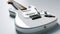 The Fender Stratocaster Electric Guitar