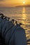 Fenders on board a sailing yacht at sunset