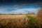 Fenland landscape and dramatic sky