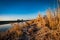 Fenland landscape in winter