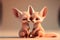 Fennec Fox foxes in snow heart melting Valentines Day card