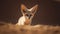 Fennec Fox\\\'s Twilight Frolic in the Saharan Sands