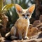 A fennec fox in the Sahara Desert
