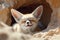 Fennec fox (Vulpes zerda) is a small crepuscular fox native to the deserts of North Africa, AI generative