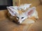 Fennec foxes