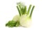 Fennel