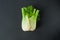 Fennel on a black background, organic products from the farm