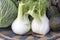Fennel and Cabbage Vegetables in Basket