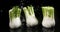 Fennel, foeniculum vulgare, Vegetable falling into Water against Black Background,