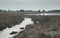 Fens in wide plain with high yellow grass and trees.