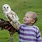 Fenton Bird of Prey Centre