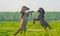 Feral horses in a meadow in wetland in sunlight