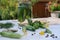 Fermented Pickled cucumbers. Ingredients for marinated gherkins