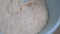 fermented wheat flour dough, raw fermented dough, fermented and maturing dough,leavened wheat flour dough,raw dough,kneaded and