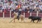 Fermin Bohorquez, bullfighter on horseback spanish, Ubeda, Jaen, Spain