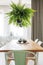 Fern in bright dining room