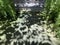 Fern fronds and tree shades on the ground