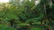 Fern Garden in Romantic Pena National Palace on hill in Sintra, Portugal