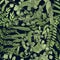 Fern green foliage on black background. Hand drawn seamless pattern with realistic plants. Colorful vector illustration.