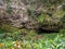 Fern Grotto , Kauai