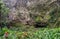 Fern Grotto , Kauai