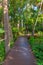 Fern gully trail at Royal botanic garden in Melbourne, Australia