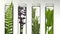 Fern, lavender and mint in test tubes