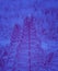 Fern leaf in magenta color with a mystical magic curl. mystical tinted forest. Vertical