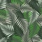 Fern leaf seamless pattern