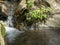 A fern lined mountain stream flows among coastal redwood trees at julia pfeiffer burns state park