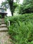 Fern pathway border leading to colonial stone mansion