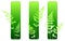 Fern plant green environmental banners