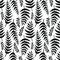 Fern seamless background