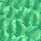 Fern seamless pattern exotic background nature green leaf plant vector illustration.