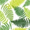 Fern tropical seamless pattern.