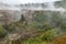 Ferns growing in thermal crater, Taupo, New Zealand