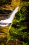 Ferns and moss growing off a rock and a waterfall in Holtwood, P