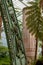 Ferns and palms in the interior of the impressive Winter Garden, part of the Royal Greenhouses at Laeken, Brussels, Belgium.