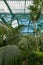 Ferns and palms in the interior of the impressive Winter Garden, part of the Royal Greenhouses at Laeken, Brussels, Belgium.