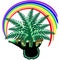 Ferns Plant and Rainbow on Green Hand
