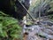 Ferns and a rock Overhang on Greaves Creek on the Grand Canyon Track in the Blue Mountains