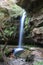 Ferns and a waterfall on Greaves Creek on the Grand Canyon Track in the Blue Mountains