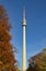 Fernsehturm Stuttgart in autumn