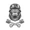 Ferocious gorilla head in biker helmet