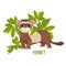 Ferret animal with wide open eyes in green leaves vector