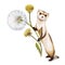 Ferret with a bouquet of dandelions