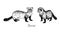 Ferret couple, side view, hand drawn doodle, drawing sketch in gravure style, vector