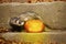 Ferret in halloween style posing with Jack-o`-lantern pumpkin outdoor on stone stairs