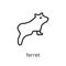 Ferret icon. Trendy modern flat linear vector Ferret icon on white background from thin line animals collection