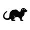 Ferret Icon Vector